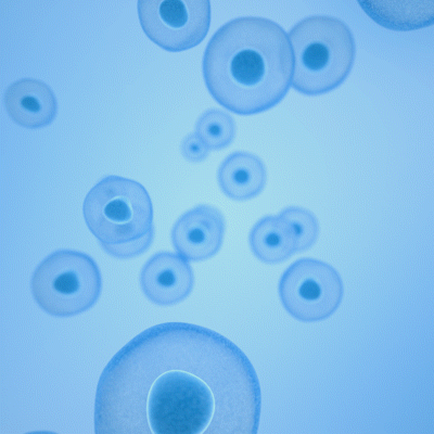 AHC-黄金面膜视频（图ZMjY1NDE2NDA4） - 动画/影视 - 站酷设计师时光重现原创素材 - 站酷ZCOOL