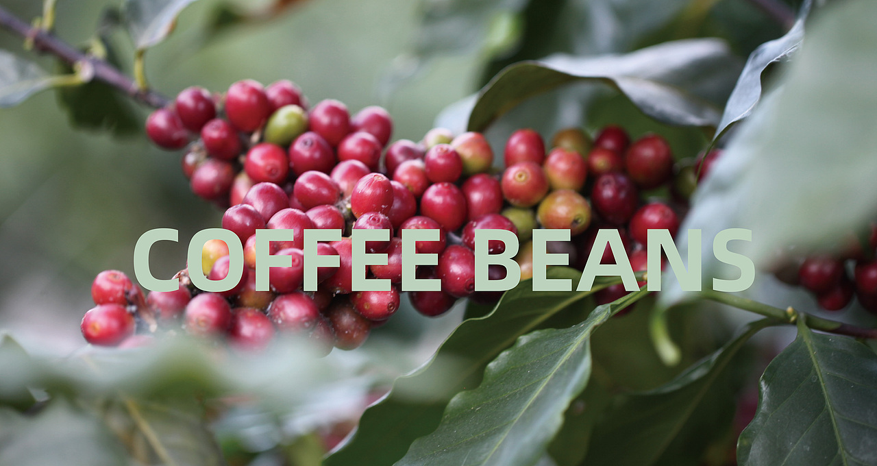 杭州（轻卡FITINGLAB）品牌包装设计（图ZMjQ1NzY2NjI0） - 品牌 - 站酷设计师木沁品牌设计原创素材 - 站酷ZCOOL