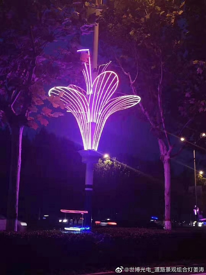 led路灯杆装饰_路灯杆造型灯_广场路灯杆亮化装饰