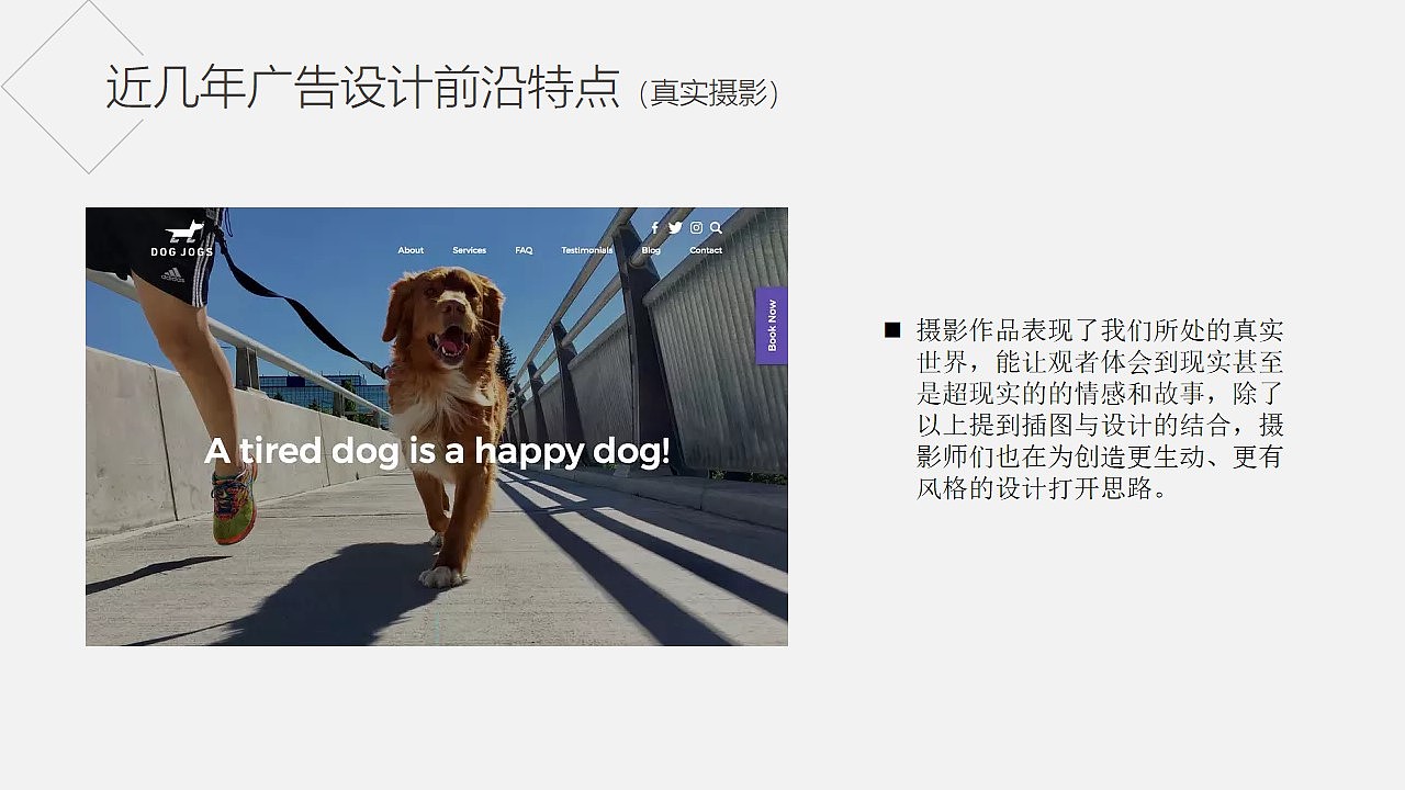 2019年金犊奖金犊奖（图ZMjE0OTI3MDA0） - 海报 - 站酷设计师Eve咕咕鸟原创素材 - 站酷ZCOOL