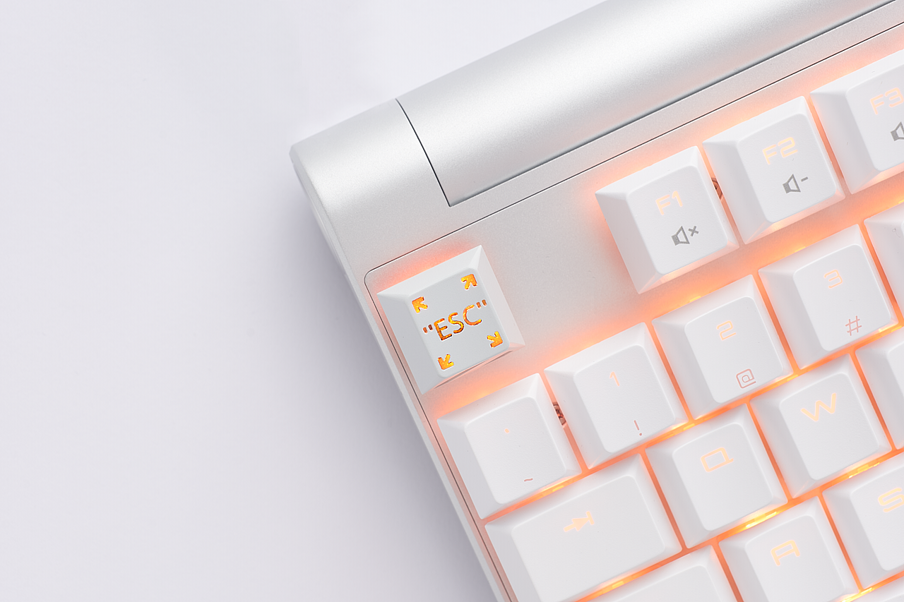 平面|Holyoops SPACE&ESC