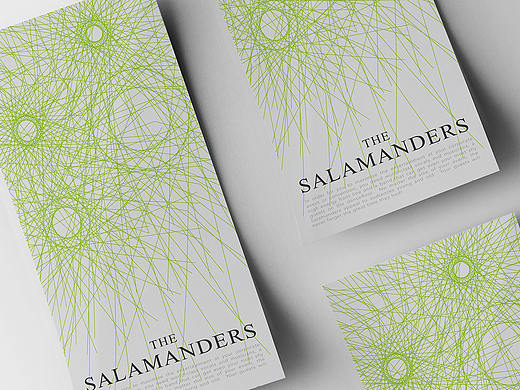美国 The Salamanders 派对乐队 