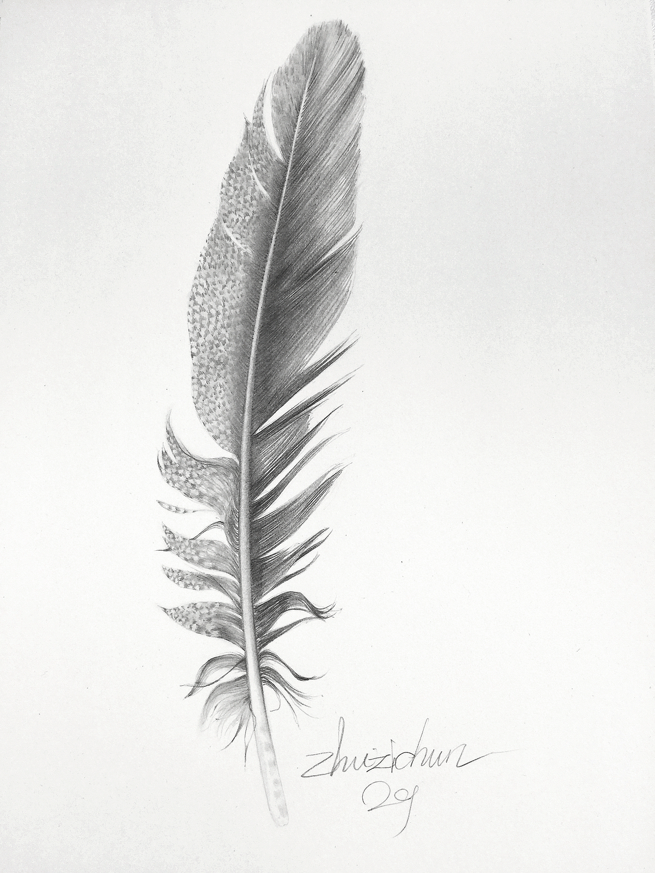 随心画（图ZMzg2NjQ5Mjg=） - 绘画 - 站酷设计师seasonjune原创素材 - 站酷ZCOOL