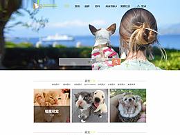 宠物网页