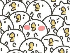 momo鸡的日常
