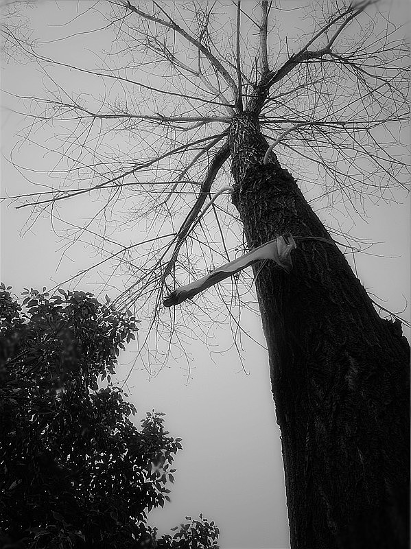 大学摄影随手拍拍（图ZMjUwOTI5NDQ=） - 风光摄影 - 站酷设计师传媒摄影人原创素材 - 站酷ZCOOL