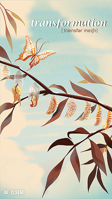 BCZ poster项目插画-9