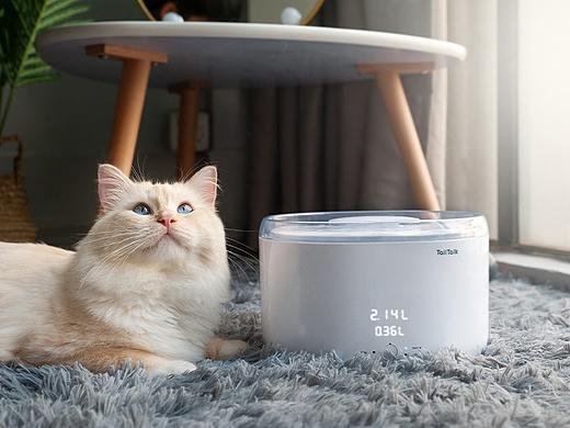 宠物产品拍摄 TailTalk麻球说宠物智能饮水机