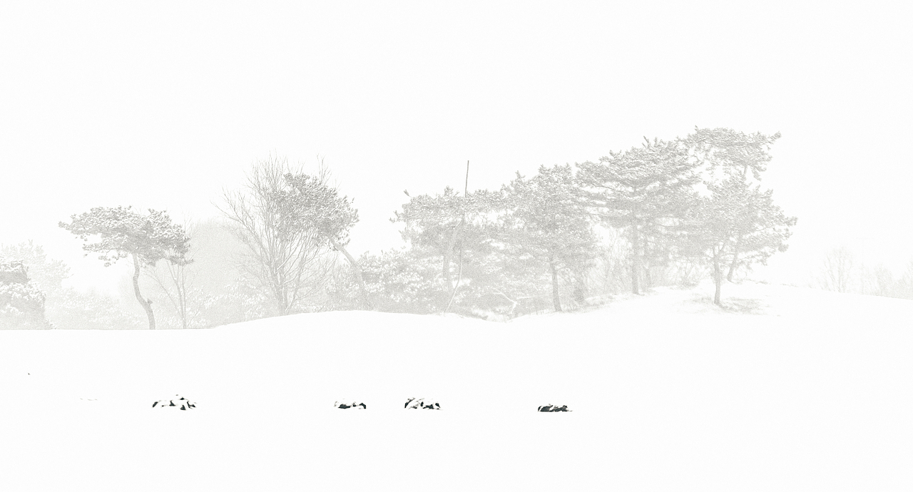 冬季里的色彩与玄学