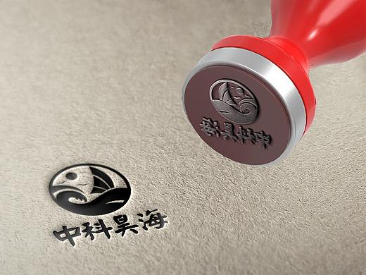 【春柳秋枫】中科昊海标志设计