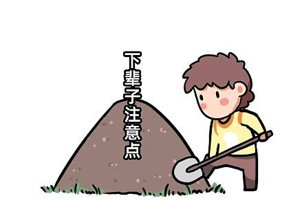 猫来了小课堂——“土猫”篇