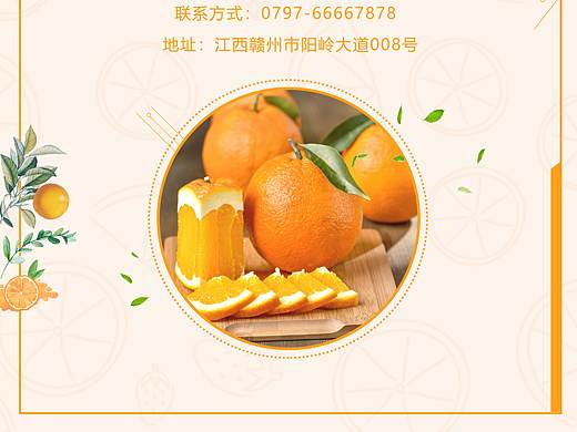赣南脐橙（个人主页-ZMzc5NDgwMDQ=） - 海报 - 站酷设计师Alonay原创素材 - 站酷ZCOOL