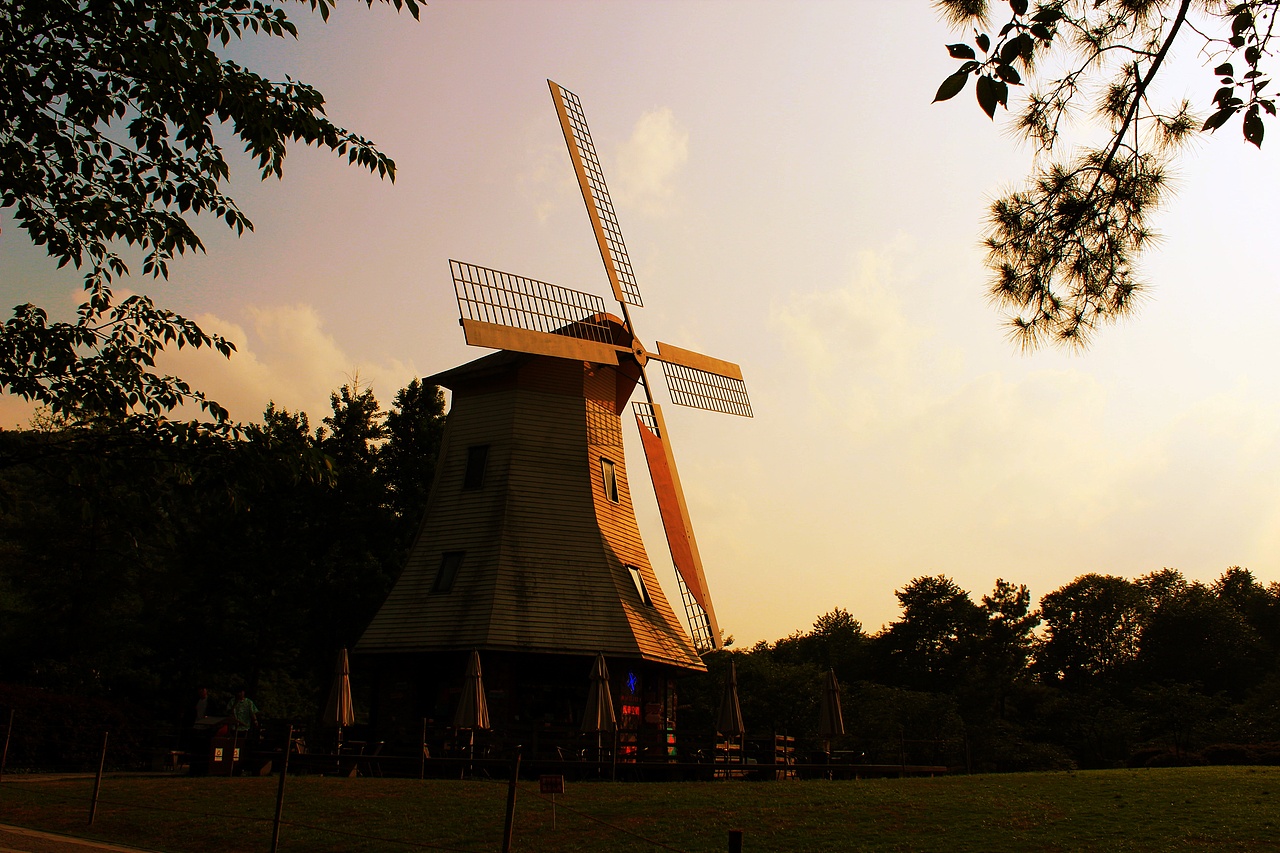 杭州太子湾大风车