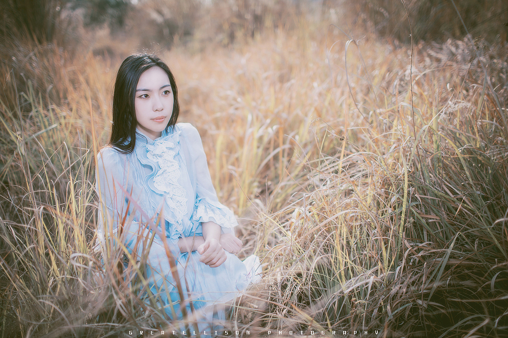 梦里不知身是客