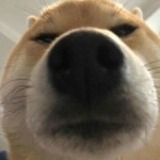 改那的头像