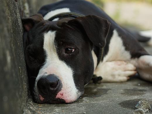 消失的光年 /6789月