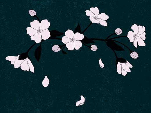今日份练习，又是花哦