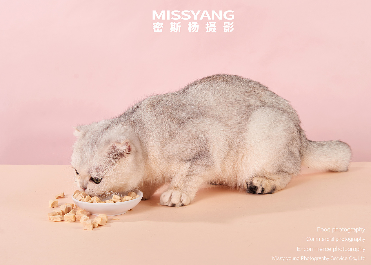 猫咪冻干摄影|宠物猫粮摄影|电商摄×郑州密斯杨（图ZMjQyNTAwMDQ0） - 产品摄影 - 站酷设计师密斯杨摄影原创素材 - 站酷ZCOOL