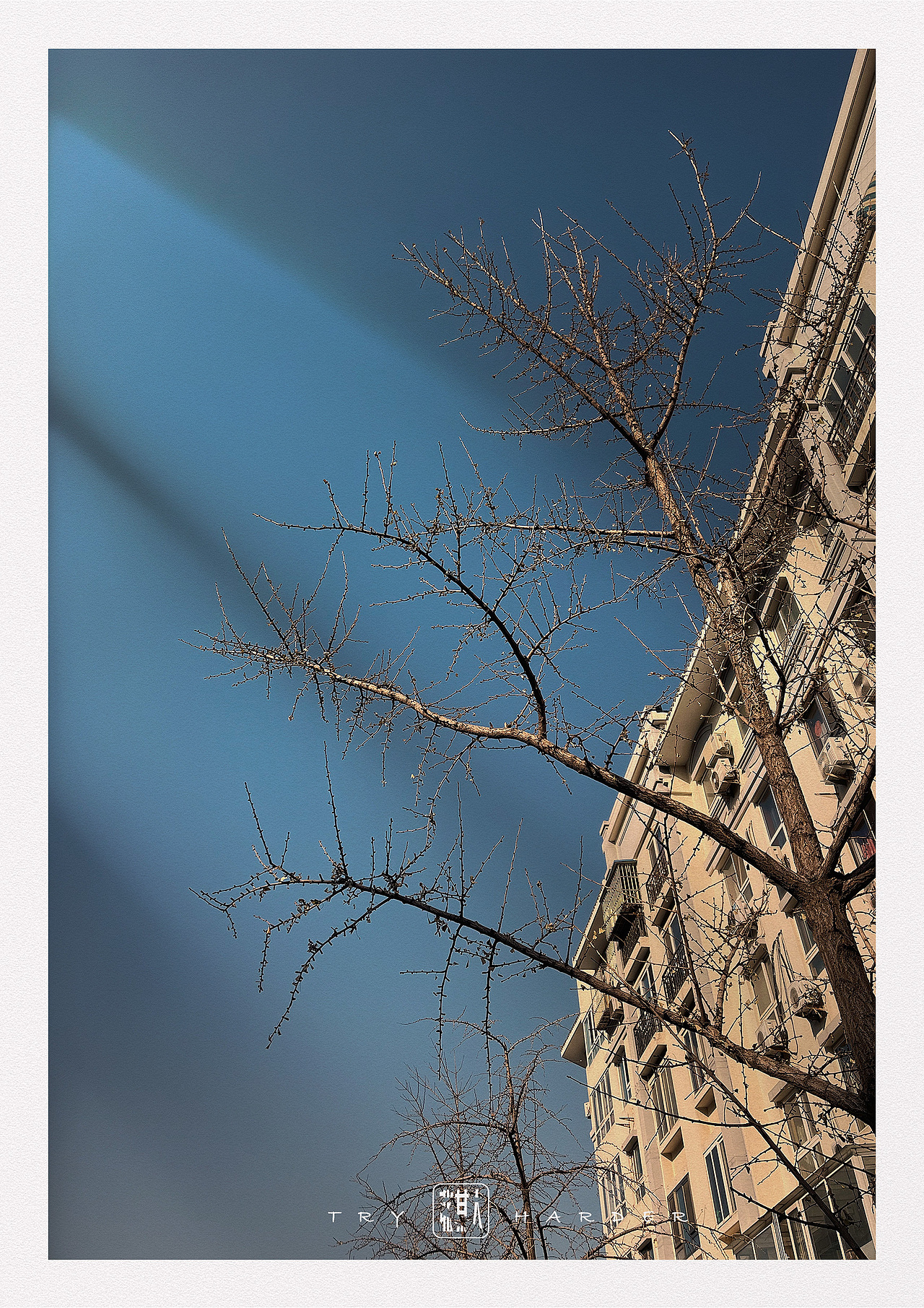 世人慌慌张张,不过是图碎银几两