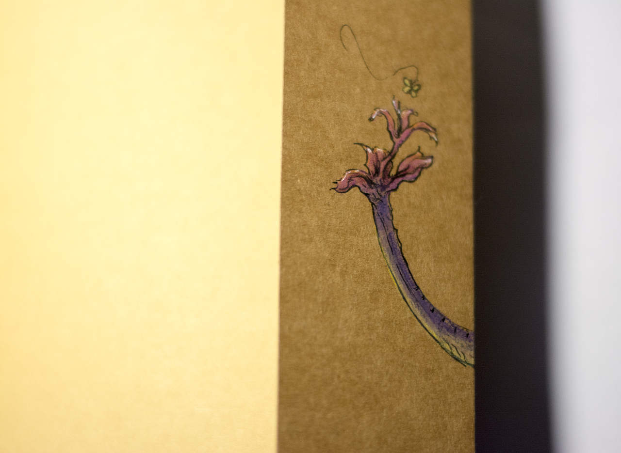 牛皮纸 水溶彩铅——绘制封面