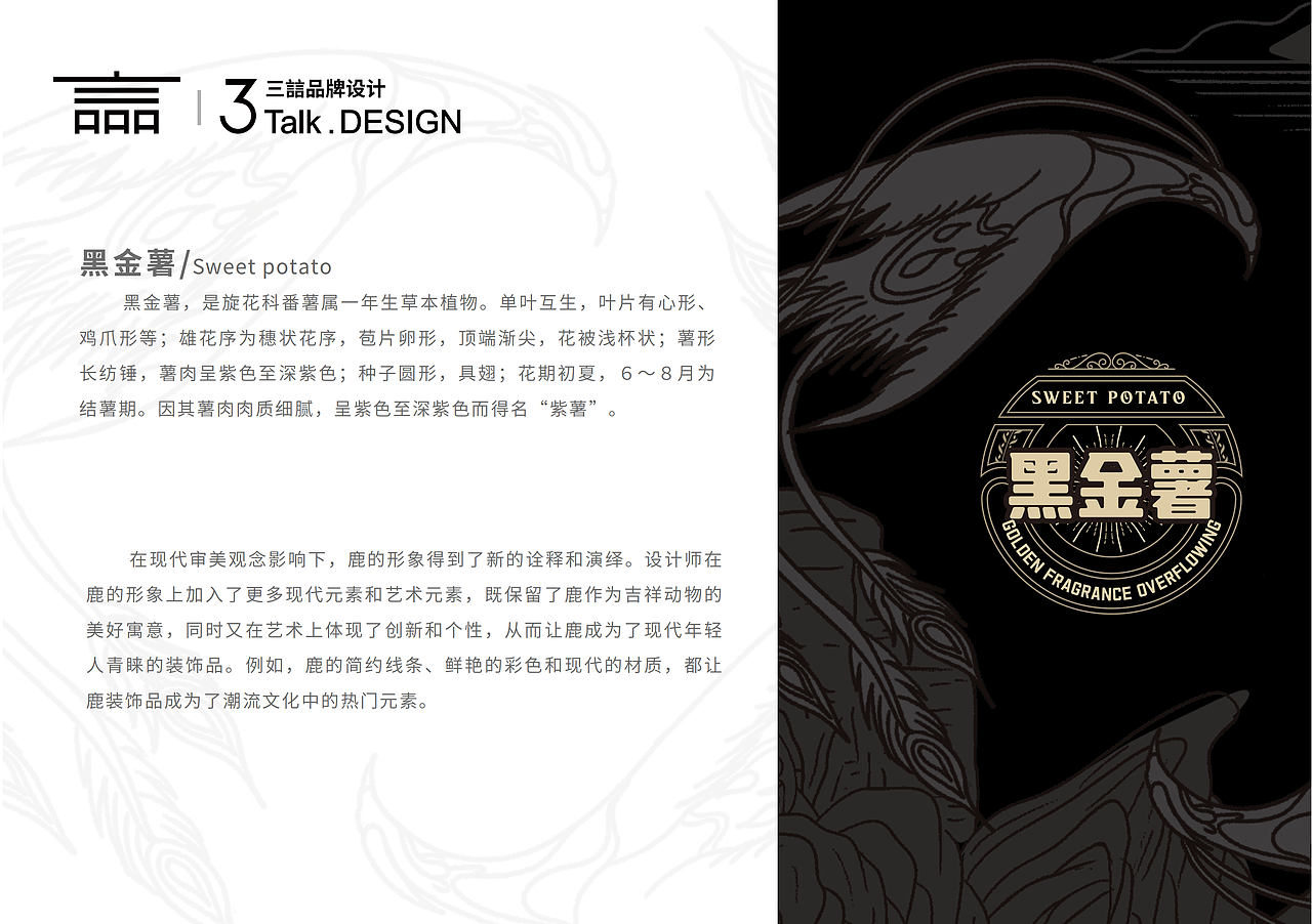 黑金薯（地瓜）包装设计方案