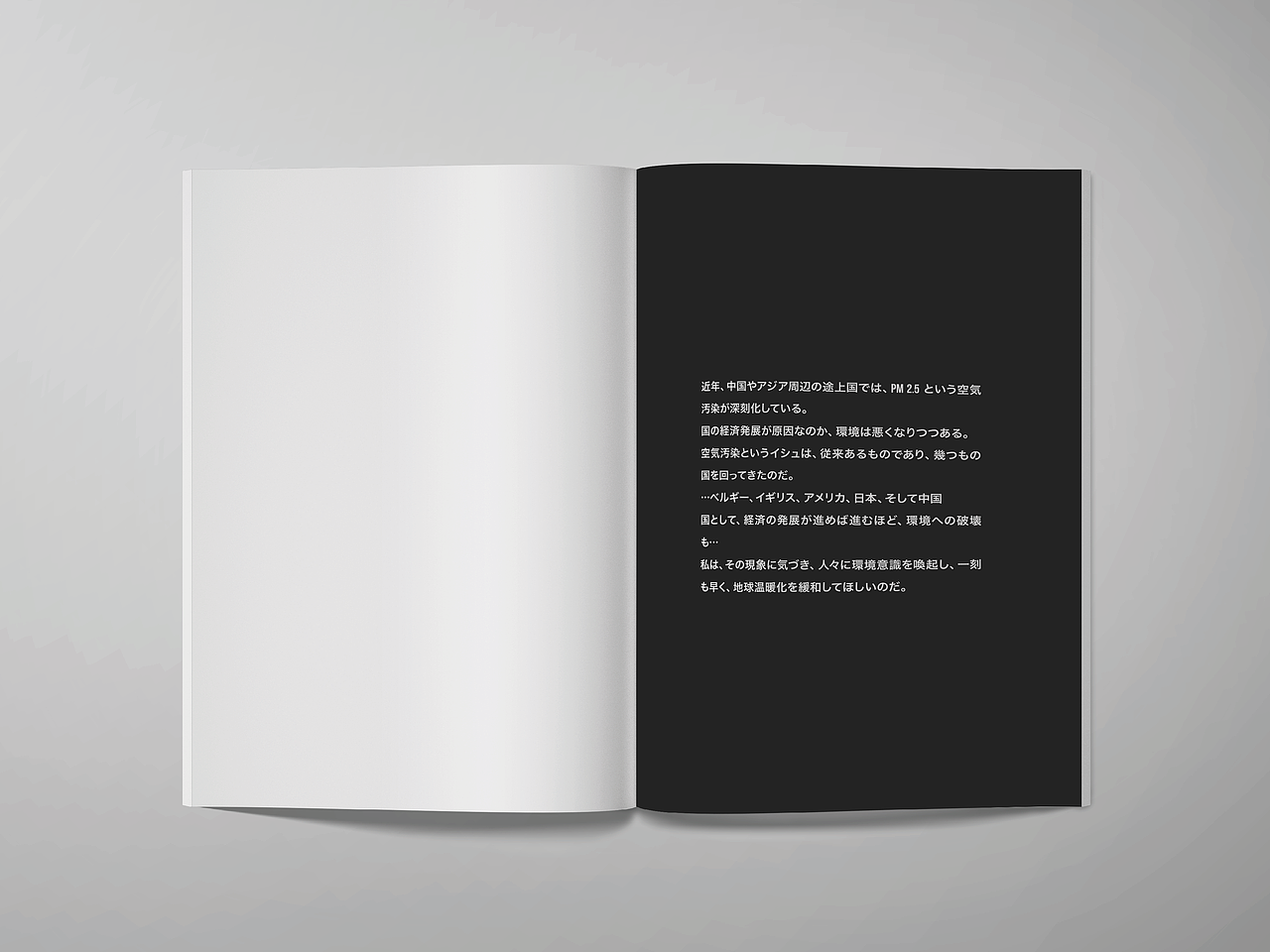 宣传手册 《SMOG》