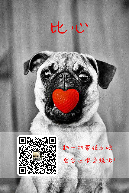 超爱看房狗&微博配图设计