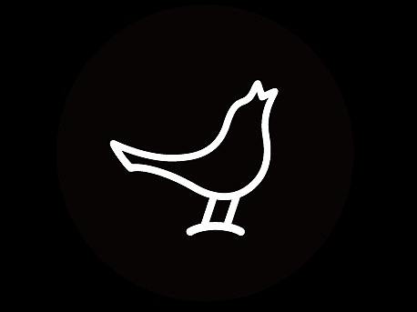 純凈輕盈，動中有靜（個(gè)人主頁-ZMjgwMDk5MDg=） - 海報(bào) - 站酷設(shè)計(jì)師桃擺擺原創(chuàng)素材 - 站酷ZCOOL