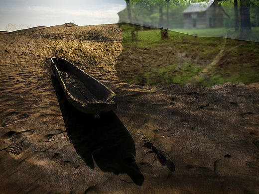 沙漠之蚁（个人主页-ZMTg3Mjk0MDg=） - 像素画 - 站酷设计师孩子气123原创素材 - 站酷ZCOOL