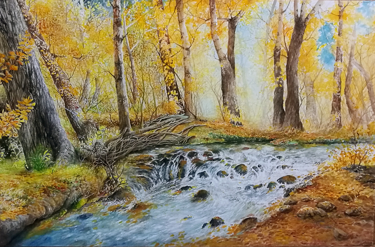 秋天的树林（图ZMTgyMTcxNDg4） - 绘画 - 站酷设计师一生梦里原创素材 - 站酷ZCOOL