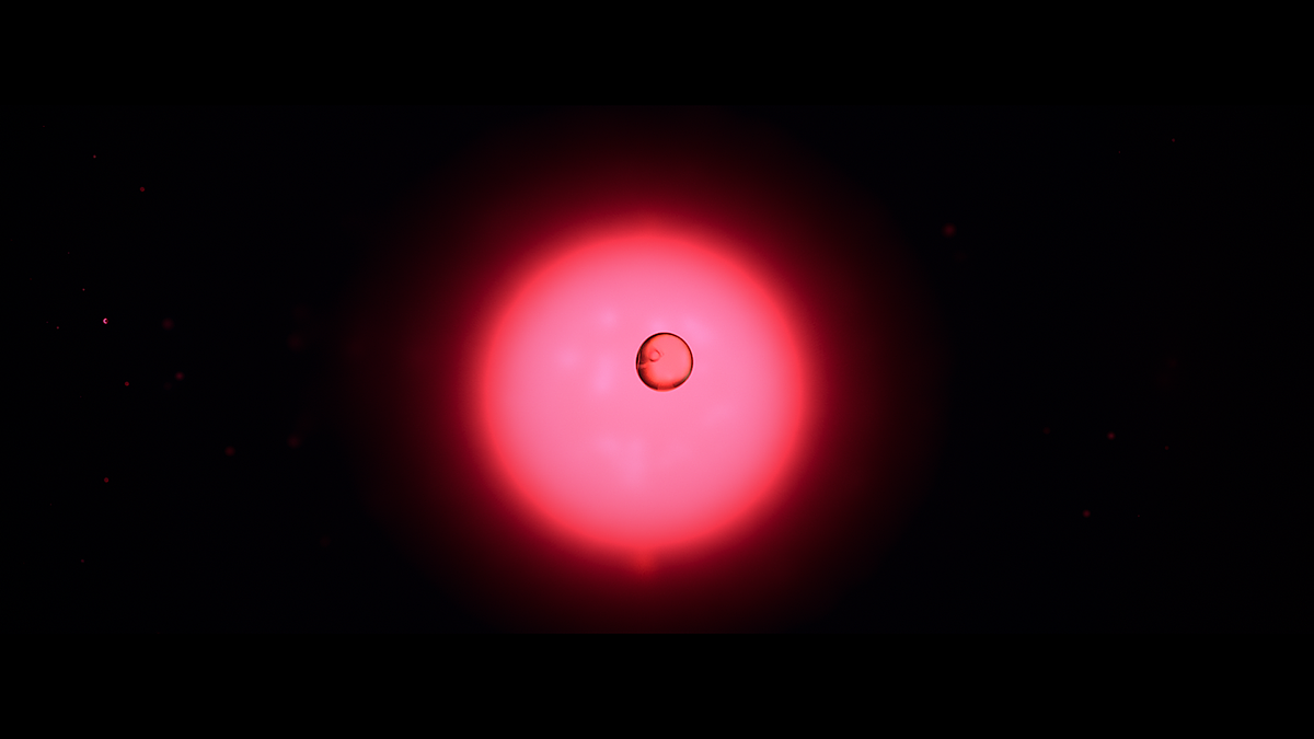 Pause Fest 2019宣传片-“显要的异类”(图ZMTk0MDA1MTM2) - Motion Graphic - 站酷设计师Onesal工作室原创素材 - 站酷ZCOOL