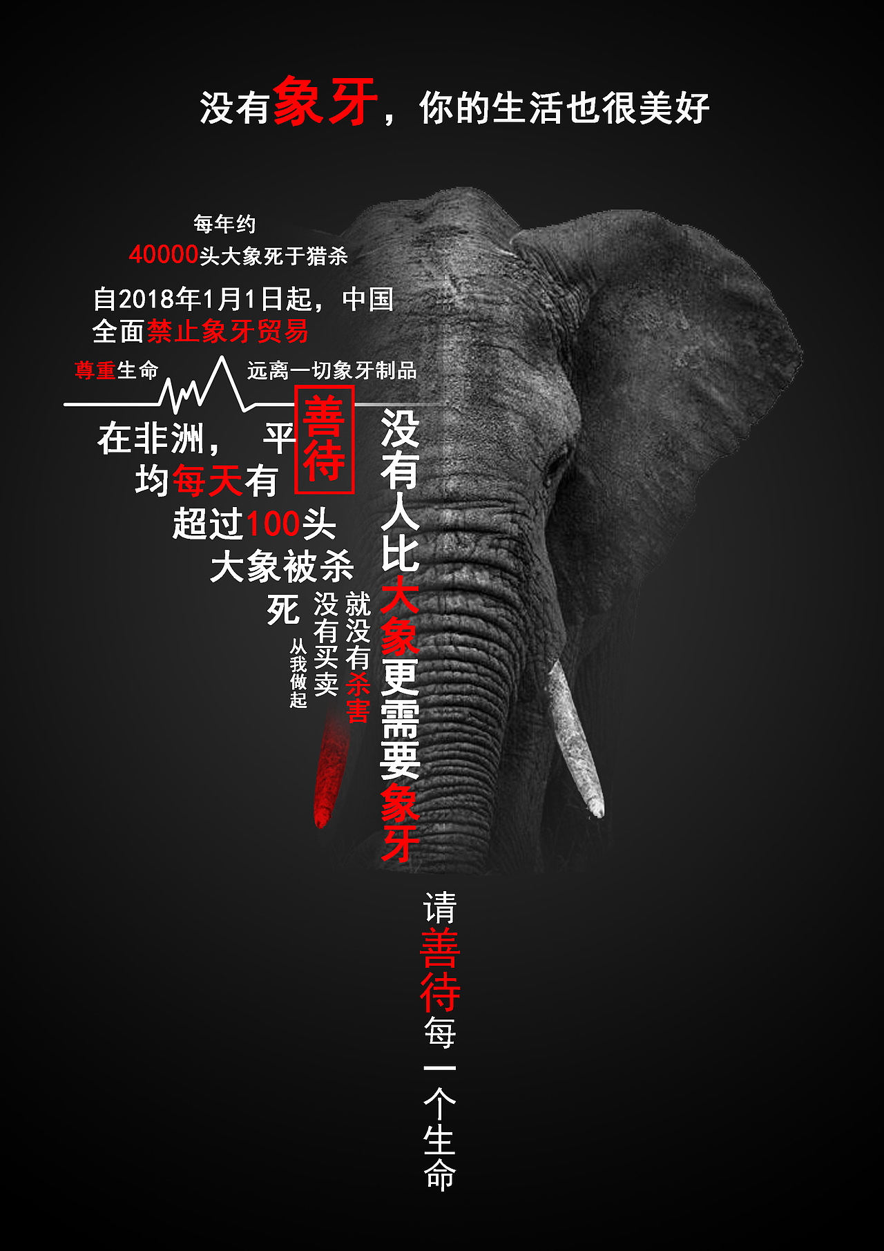 动物保护-象牙