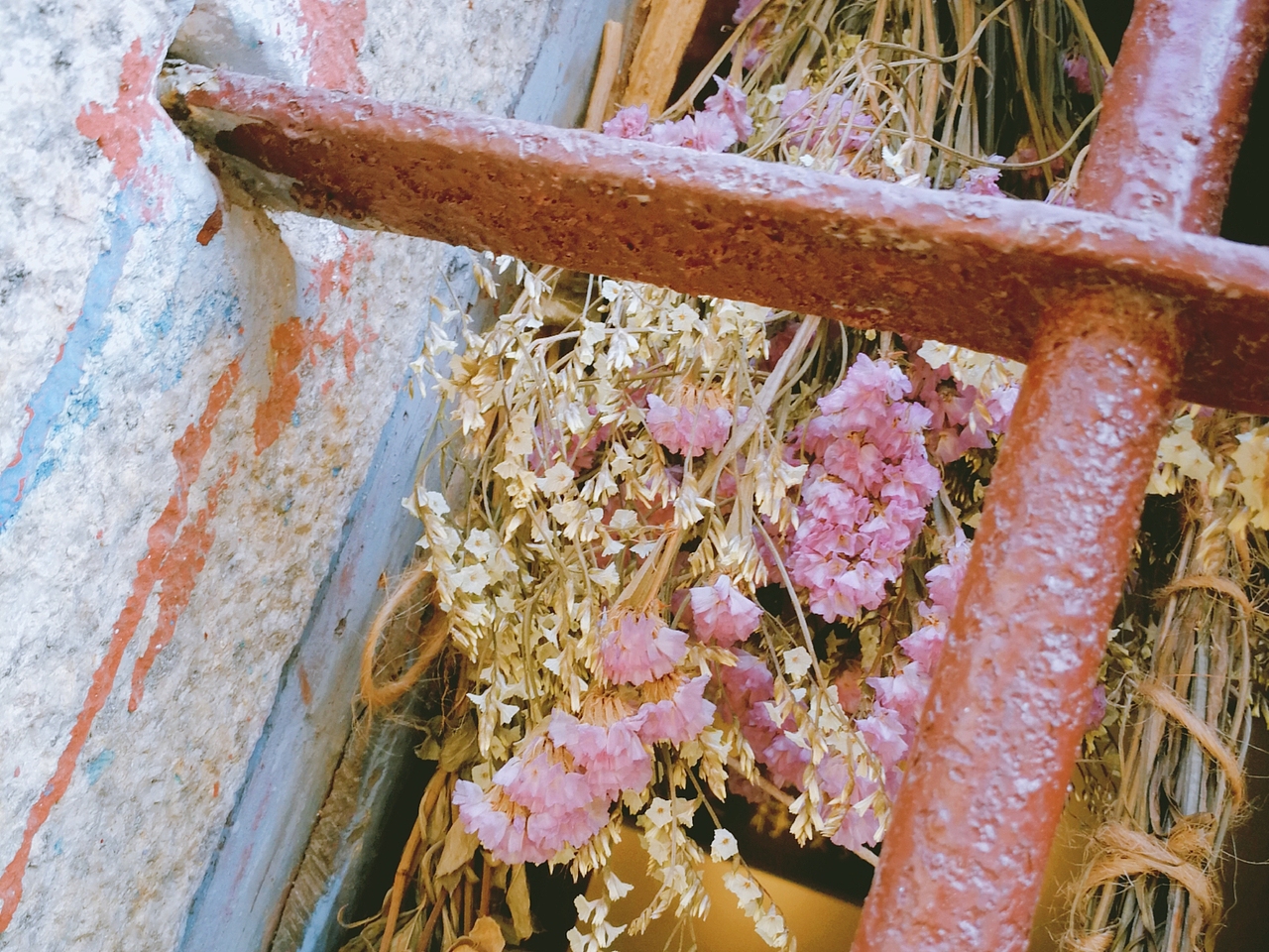 手机摄影（图ZMTUwNTY2OTA4） - 人文/纪实摄影 - 站酷设计师拾光冰原创素材 - 站酷ZCOOL