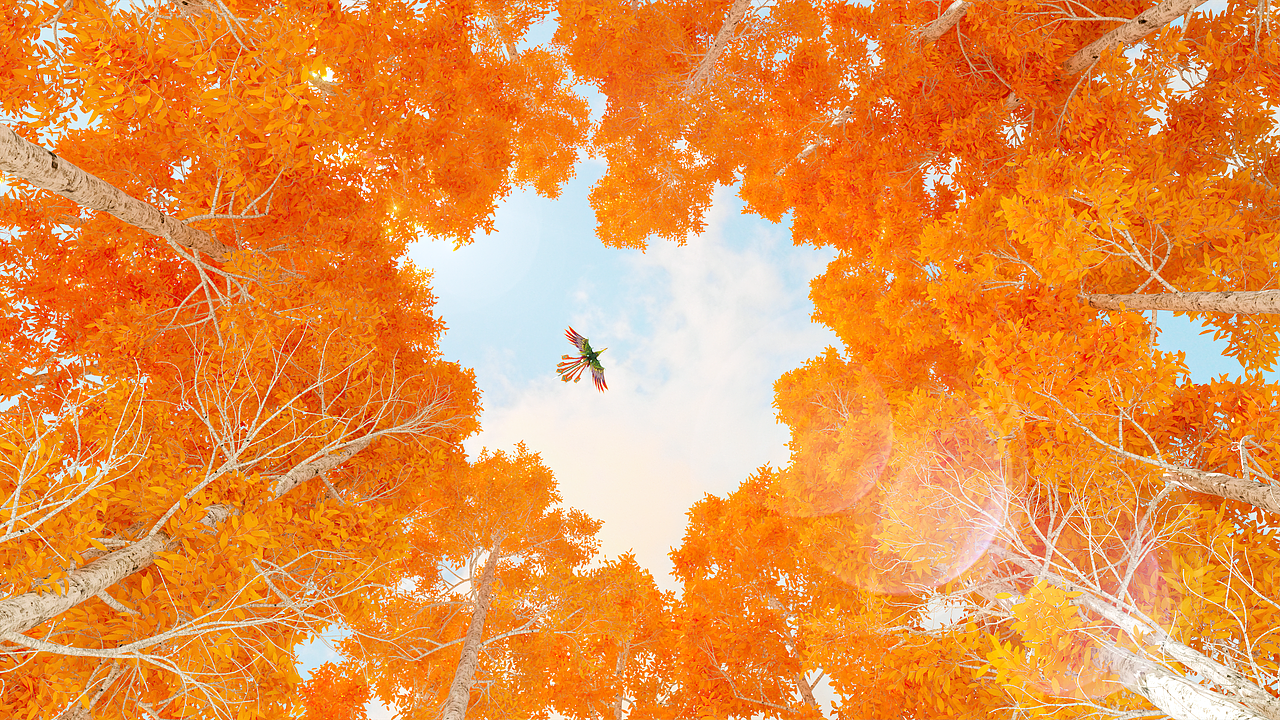 凡是过去，皆为序章（图ZMjQ2NDY0OTY4） - 场景 - 站酷设计师DragoLuo原创素材 - 站酷ZCOOL