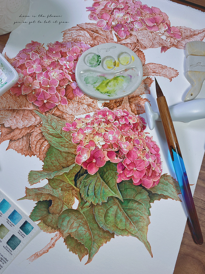 蘸水笔针管笔｜绣球花开（图ZMzUxNjI1OTYw） - 艺术插画 - 站酷设计师CatCastleDZ原创素材 - 站酷ZCOOL