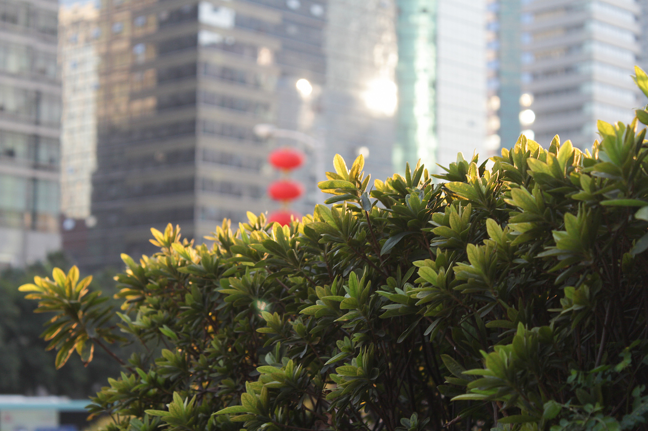 冬日深圳-街头随拍（图ZMTM3Njc0NDA=） - 环境/建筑摄影 - 站酷设计师sundyme原创素材 - 站酷ZCOOL