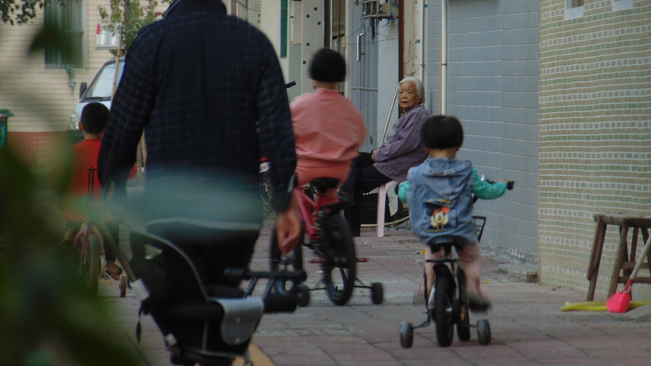 摄影2020..11.10(下)