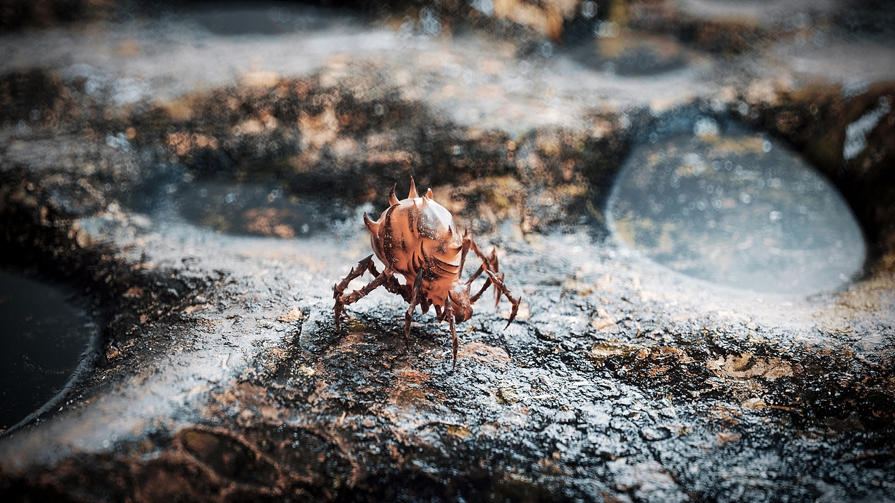 2020年最后的总结~（图ZMjM0MDMwNjQ4） - 其他三维 - 站酷设计师是北酒啊原创素材 - 站酷ZCOOL