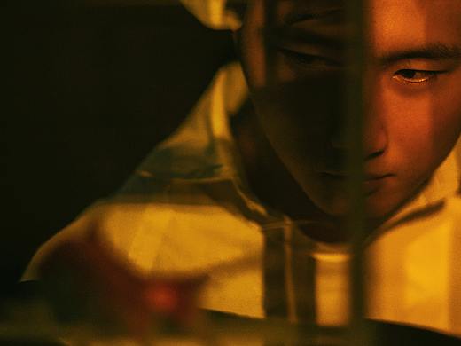 鱼的记忆 | 每个人都需要释怀放下