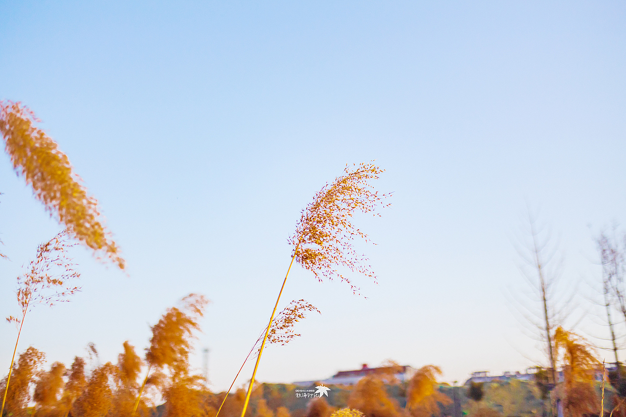 20220226随手风景杂片