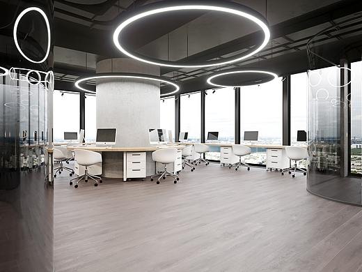 OFFICE IN MOSCOW-SITY