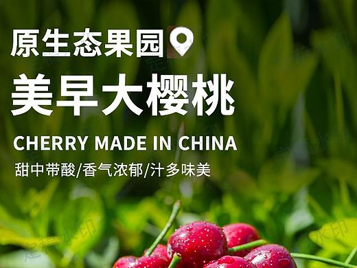 美早樱桃水果新鲜大樱桃现摘当季整箱美早