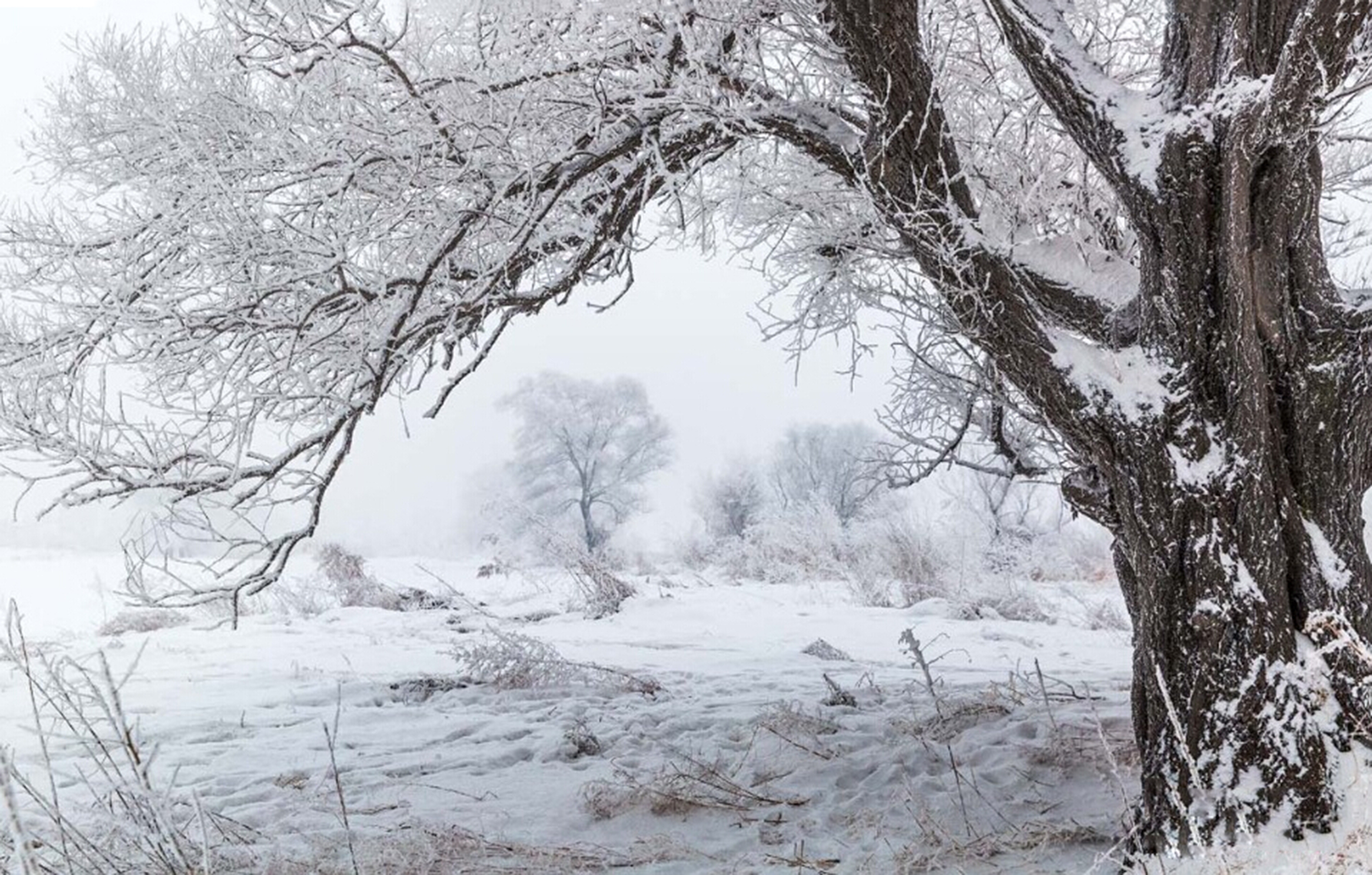 唯美雪景|摄影|风光|手心里的温暖9447 - 原创作品 - 站酷 (zcool)