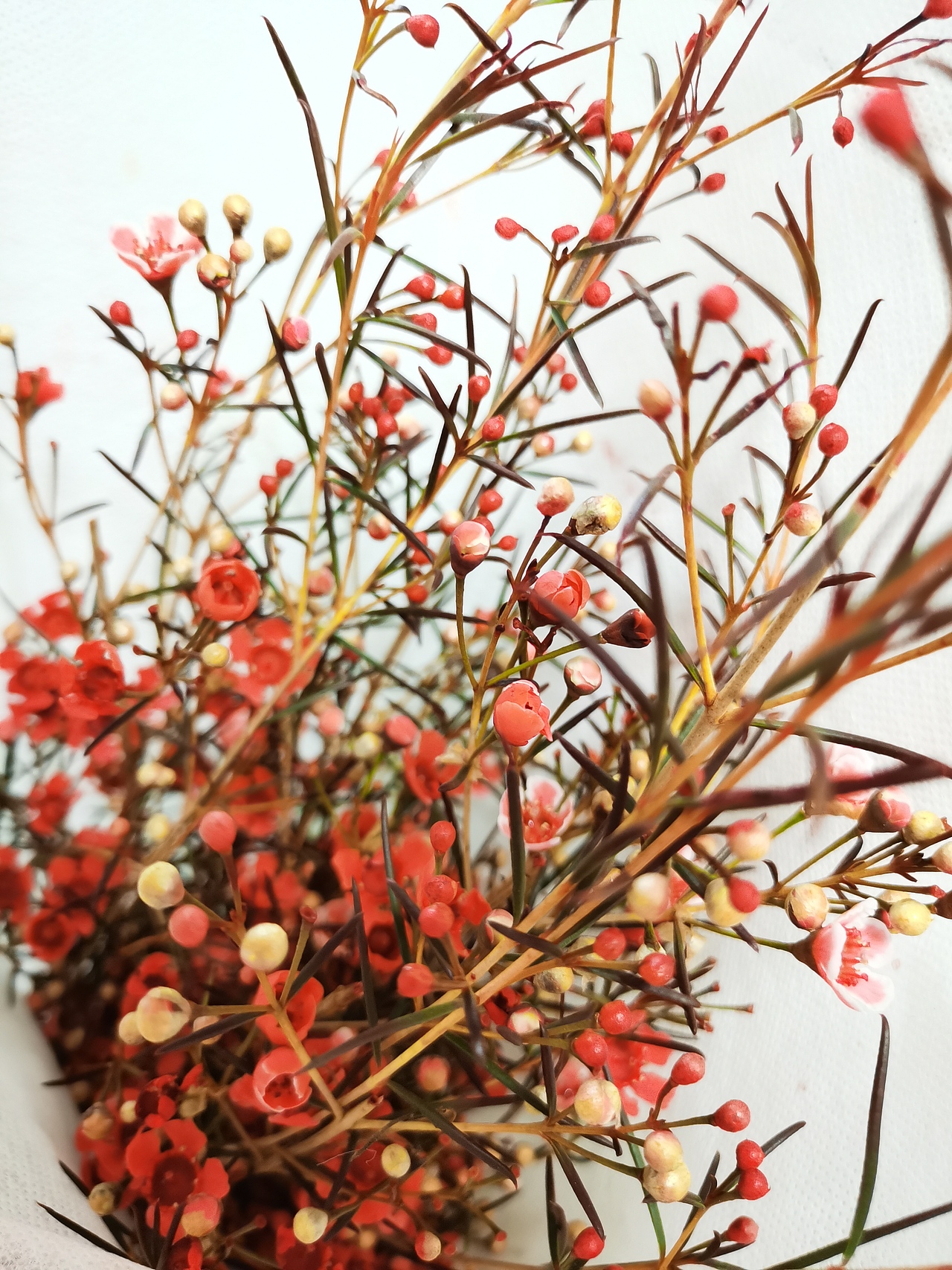 惊喜可以自己去寻找