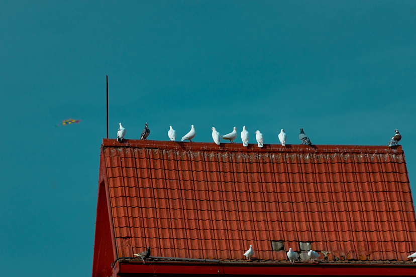 连云港-在海一方