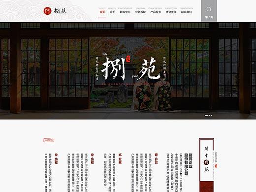 企业站 网页设计包装