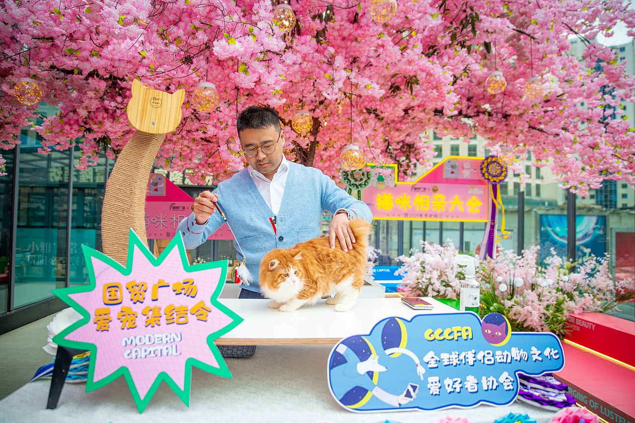 《造痒计划》猫咪相亲大会