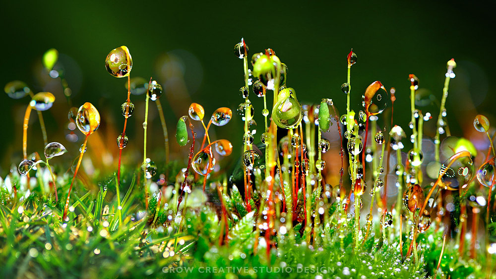 长虹Umax电视高清屏保（图ZODk2MDcwNA==） - 文案/策划 - 站酷设计师乌鸦群飞原创素材 - 站酷ZCOOL