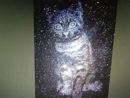 路径抠图特效.星空 猫