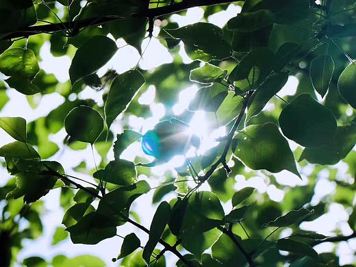 光（个人主页-ZNDQyNzA3NTI=） - 风光摄影 - 站酷设计师李菜菜并不菜原创素材 - 站酷ZCOOL